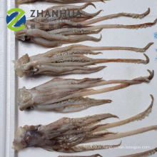 Tête de calmar Illex nouveau prix de chargement 60-100g